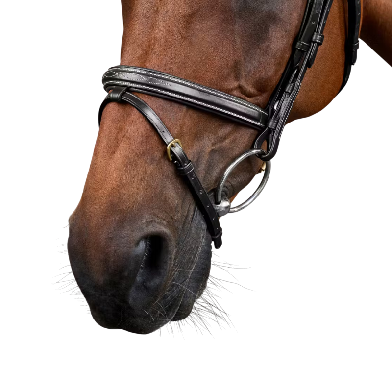 Dyon - Dy'on collectie gecombineerde neusriem zwart 