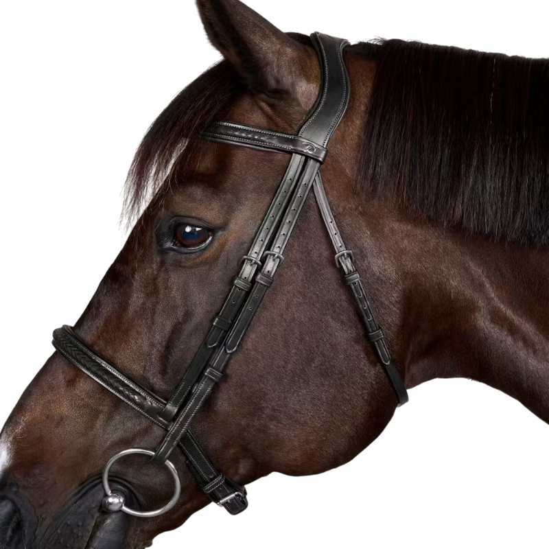 Dyon - Bridon New English Collection brown 