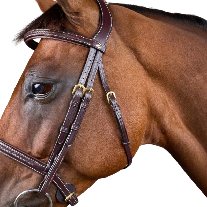 Dyon - Dy'on Collection braided bridle brown 