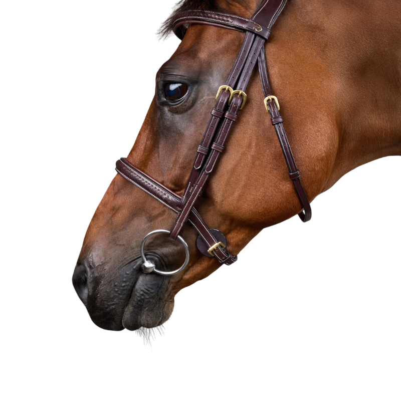 Dyon - Dy'on Collection braided bridle brown 