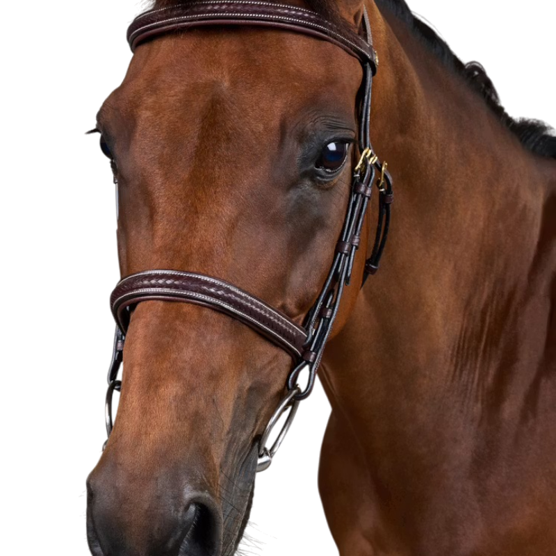 Dyon - Dy'on Collection braided bridle brown 