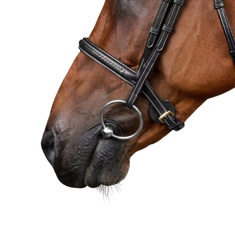 Dyon - Dy'on Collection braided bridle black 