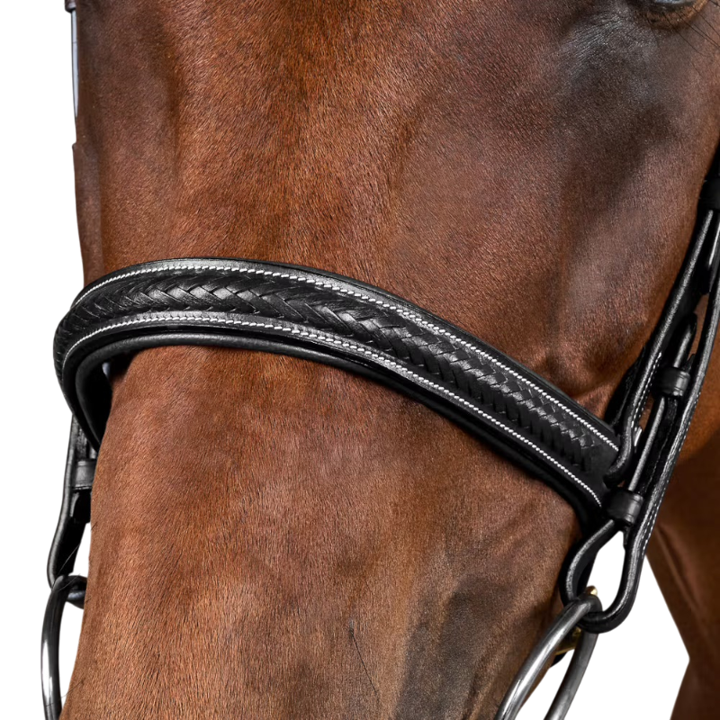 Dyon - Dy'on Collection braided bridle black 