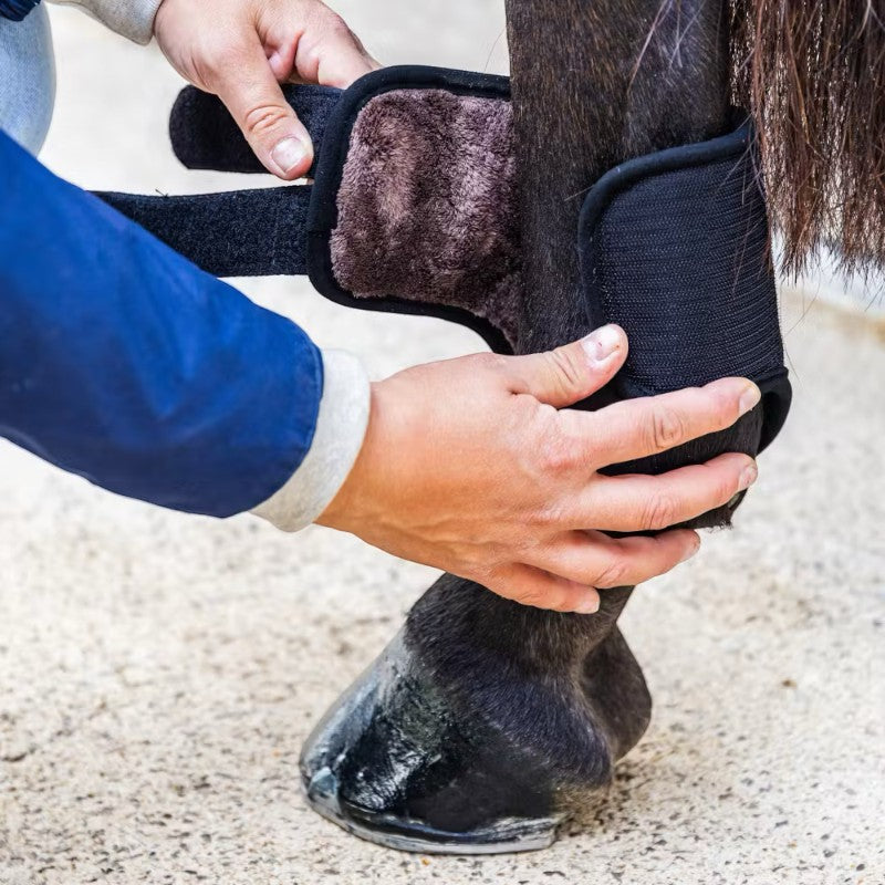 Kentucky Horsewear - Guêtres de cross courtes postérieurs 3D Air Flow Skin Friendly noir | - Ohlala