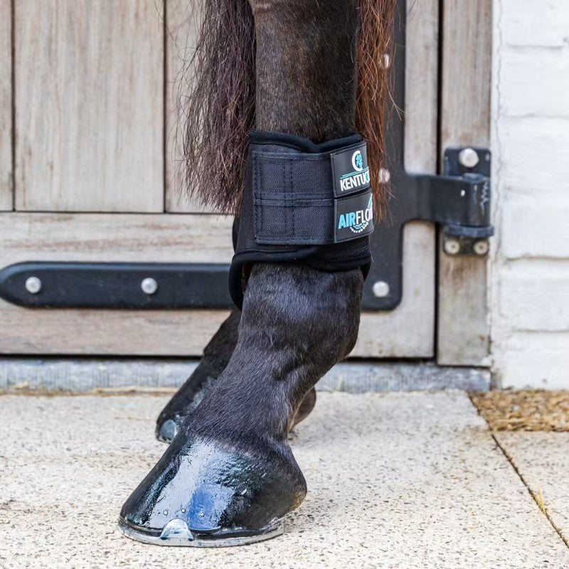 Kentucky Horsewear - Guêtres de cross courtes postérieurs 3D Air Flow Skin Friendly noir | - Ohlala