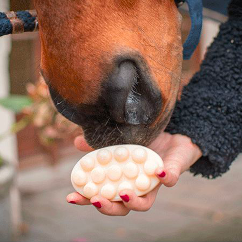 La Douche A Maouche - Solide shampoo voor paarden