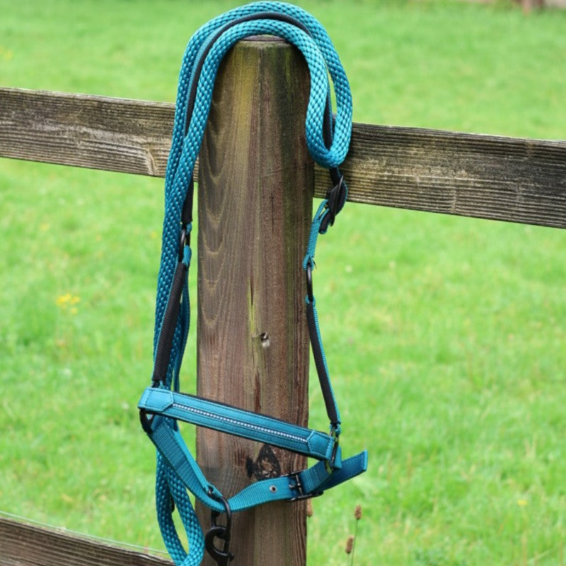 Lami-cell - Licol Charming turquoise | - Ohlala