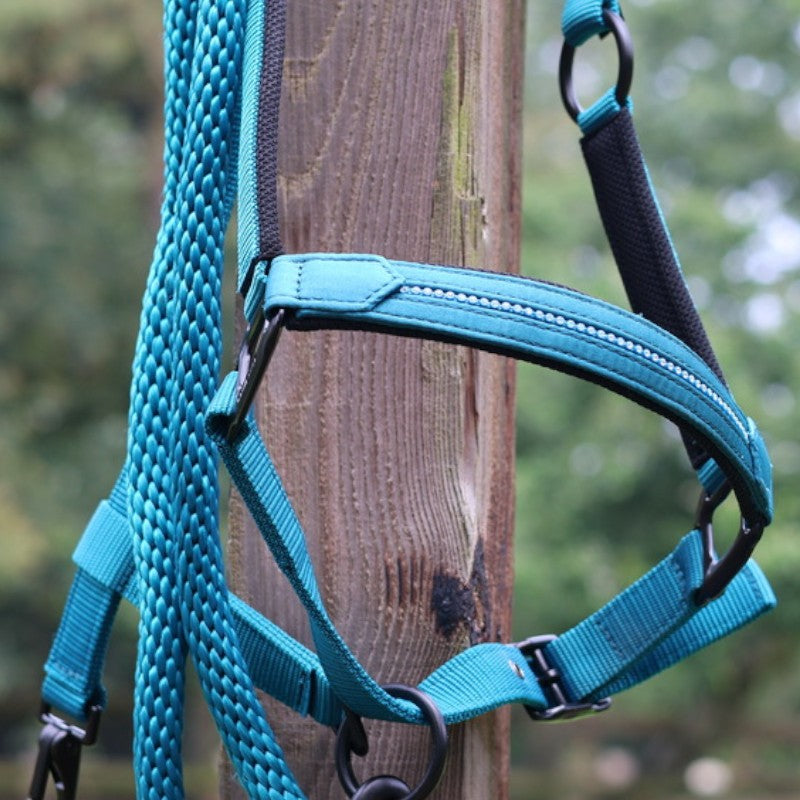 Lami-cell - Licol Charming turquoise | - Ohlala