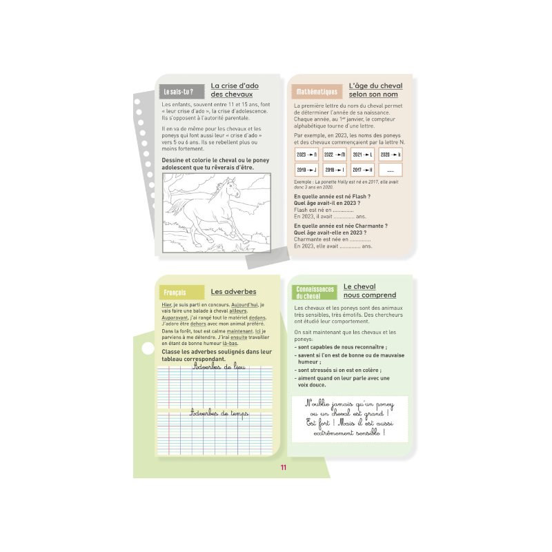 Lavauzelle - Cahier d'activités sur le thème du cheval niveau CM1 | - Ohlala