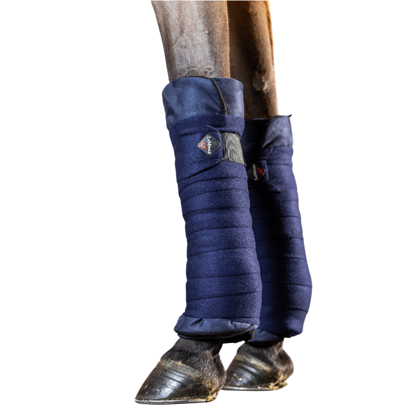 Lemieux - Bandes de repos Stable marine (x2) | - Ohlala