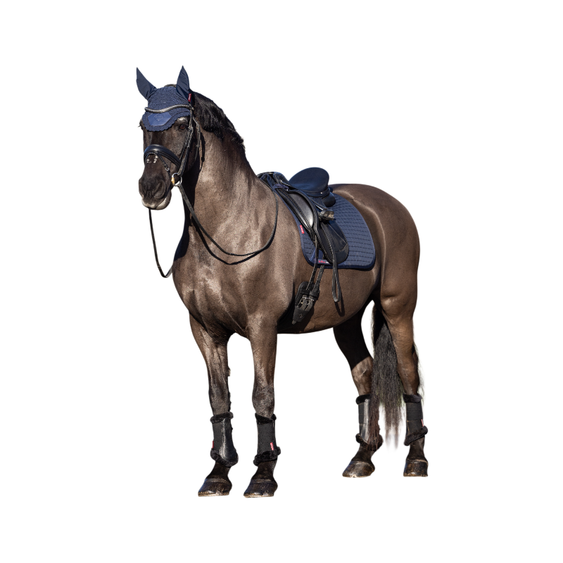 Lemieux - Bonnet pour chevaux Elite marine | - Ohlala