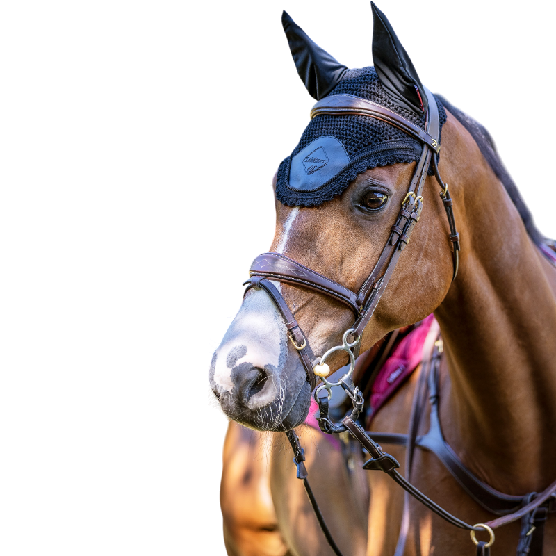 Lemieux - Bonnet pour chevaux Elite noir | - Ohlala