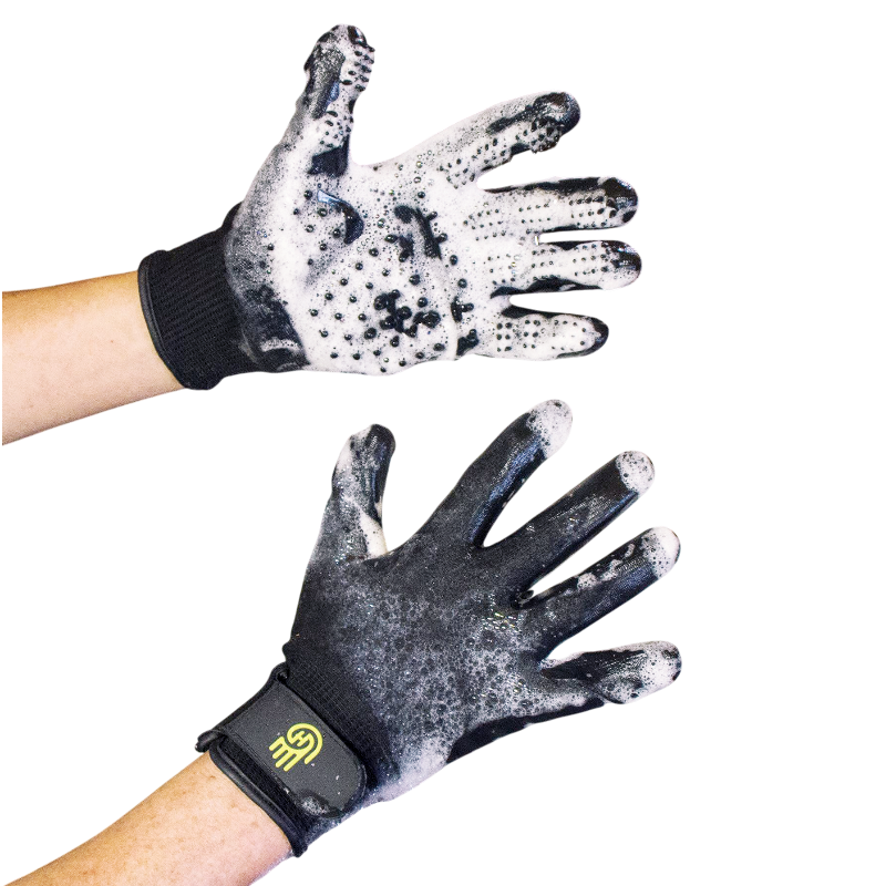Lemieux - Gants de pansage Hands On noir | - Ohlala