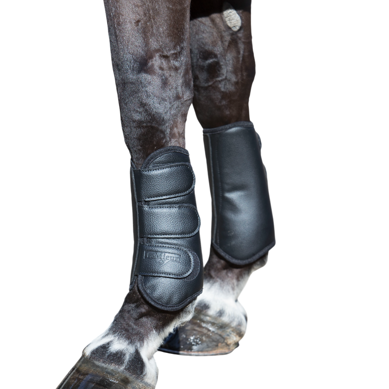 Lemieux - Guêtres fermées d'entraînement Schooling noir | - Ohlala