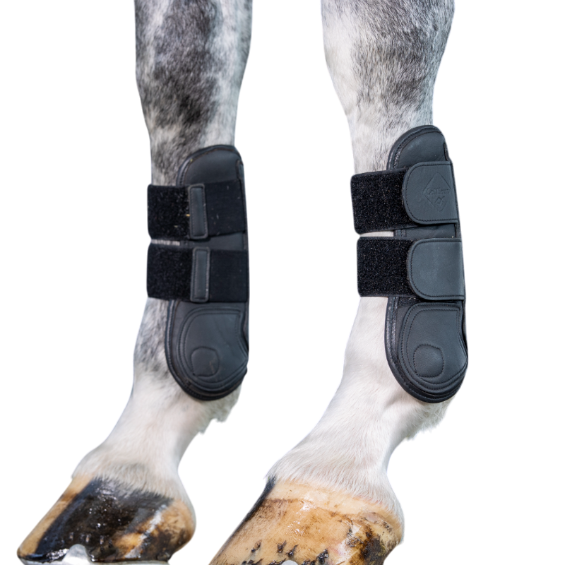 Lemieux - Guêtres ouvertes tendons Capella noir | - Ohlala