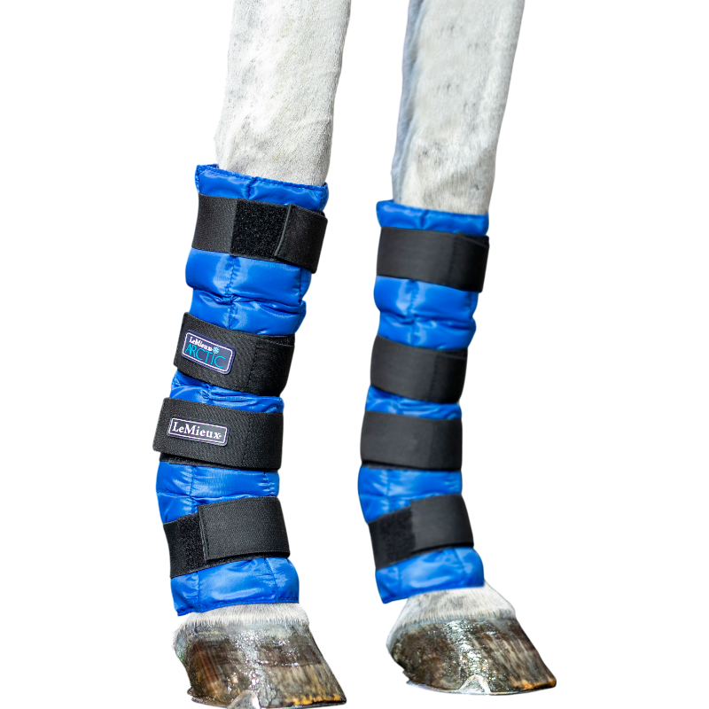 Lemieux - Guêtres rafraîchissantes Artic Ice Boot bleu (x2) | - Ohlala