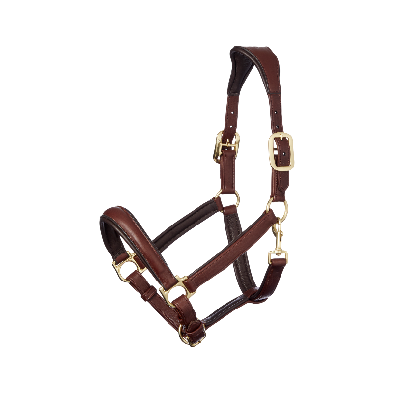 Lemieux - Licol pour chevaux Anatomique marron | - Ohlala