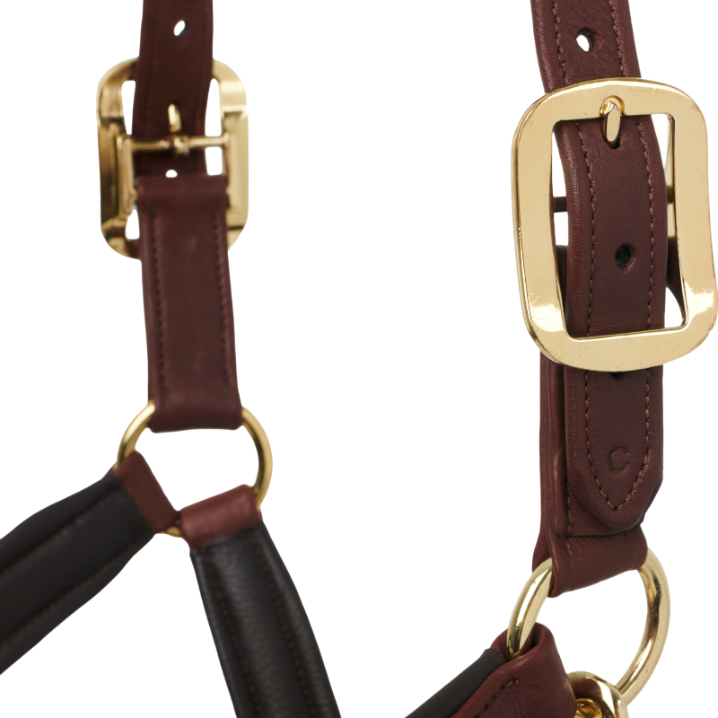 Lemieux - Licol pour chevaux Anatomique marron | - Ohlala