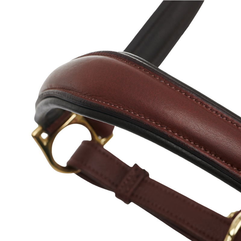 Lemieux - Licol pour chevaux Anatomique marron | - Ohlala