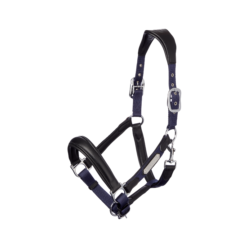 Lemieux - Licol pour chevaux Capella marine | - Ohlala