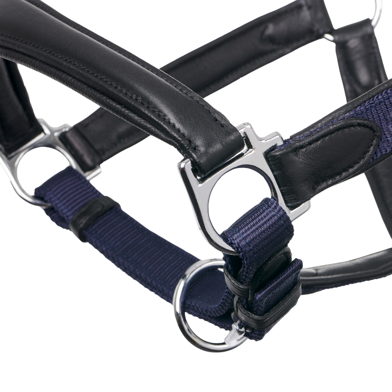 Lemieux - Licol pour chevaux Capella marine | - Ohlala