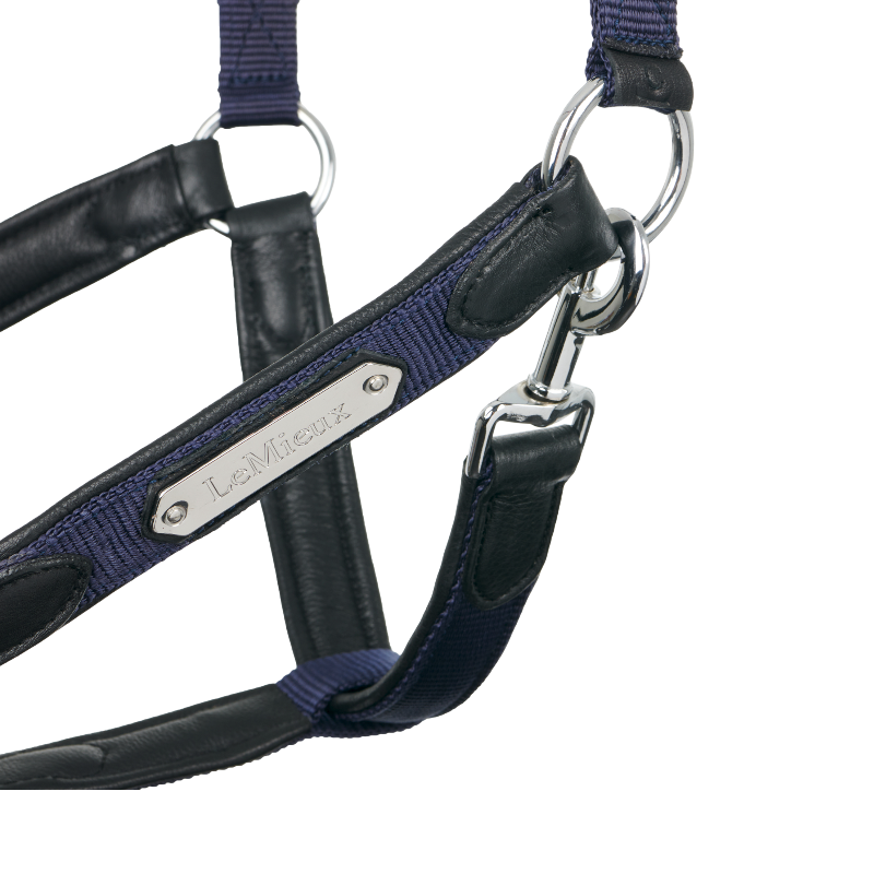 Lemieux - Licol pour chevaux Capella marine | - Ohlala