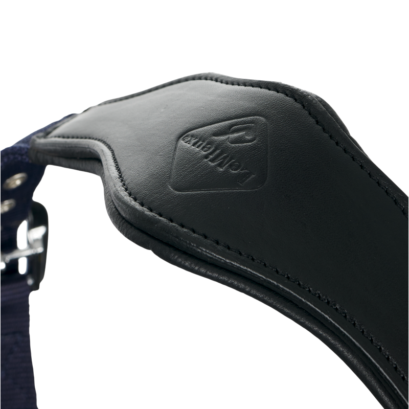 Lemieux - Licol pour chevaux Capella marine | - Ohlala