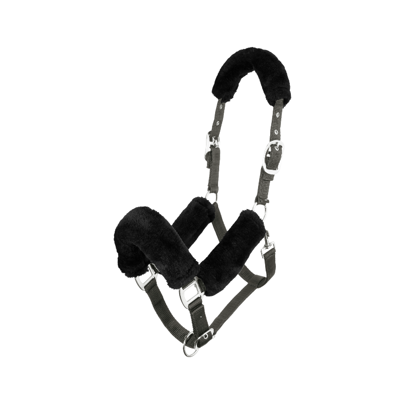 Lemieux - Licol pour chevaux Comfort gris | - Ohlala