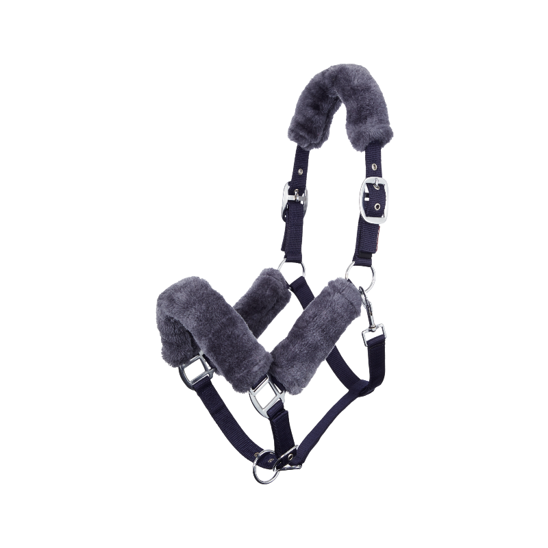 Lemieux - Licol pour chevaux Comfort marine | - Ohlala