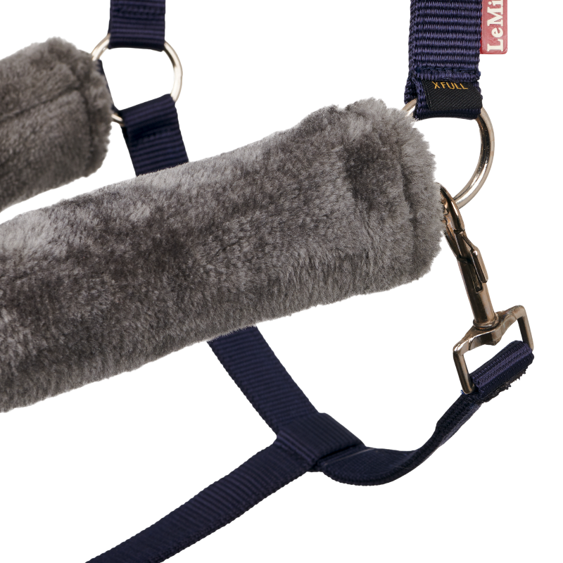 Lemieux - Licol pour chevaux Comfort marine | - Ohlala