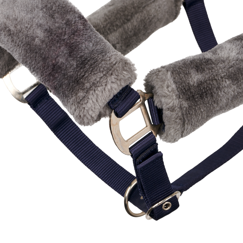 Lemieux - Licol pour chevaux Comfort marine | - Ohlala