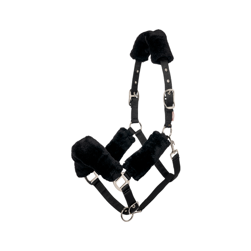 Lemieux - Licol pour chevaux Comfort noir | - Ohlala
