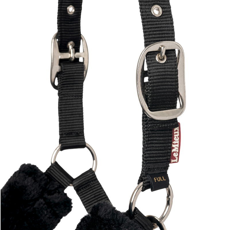 Lemieux - Licol pour chevaux Comfort noir | - Ohlala