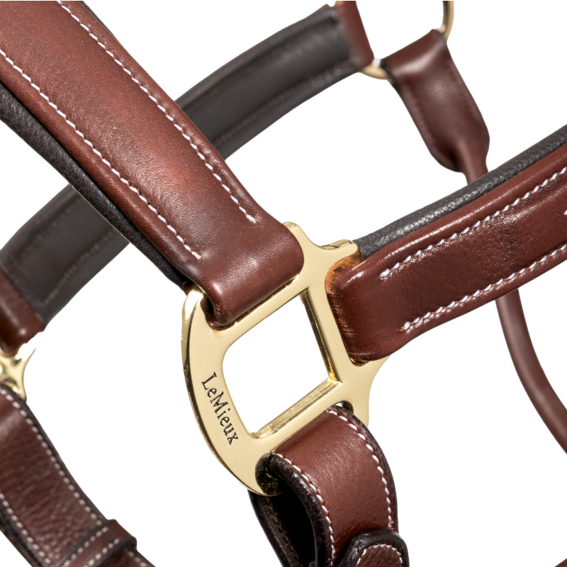 Lemieux - Licol pour chevaux Stitched marron | - Ohlala