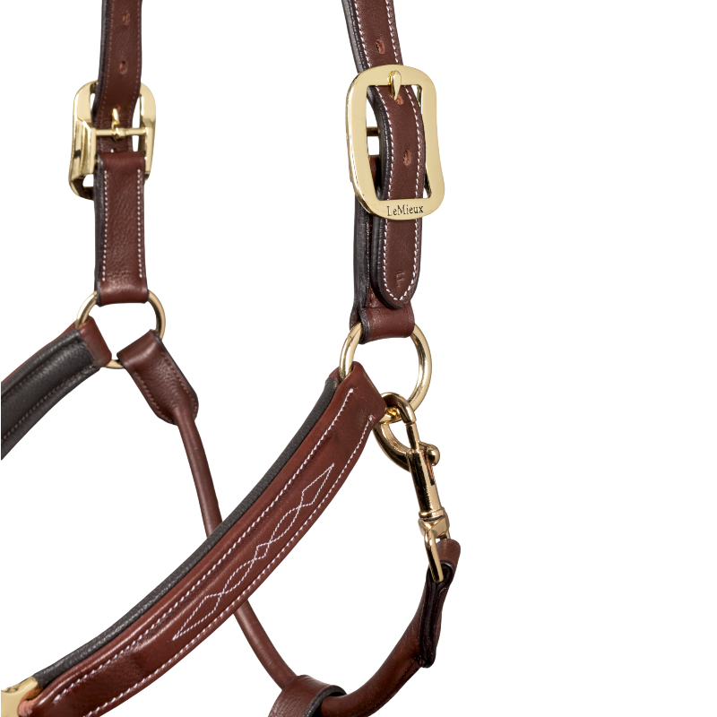 Lemieux - Licol pour chevaux Stitched marron | - Ohlala