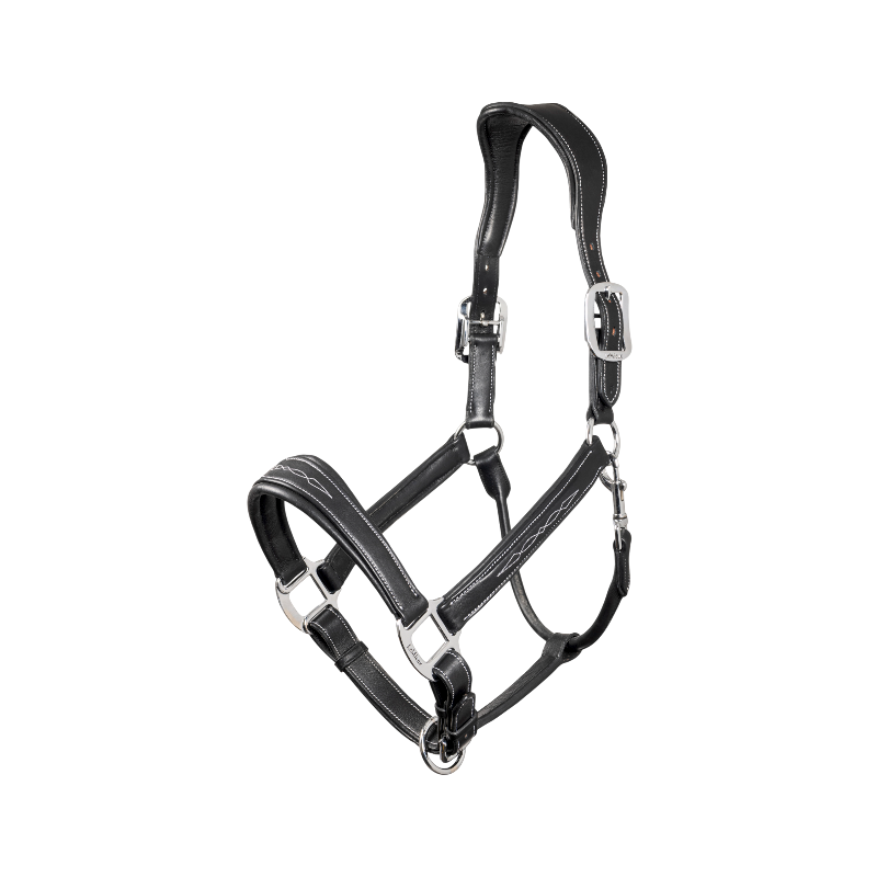 Lemieux - Licol pour chevaux Stitched noir | - Ohlala