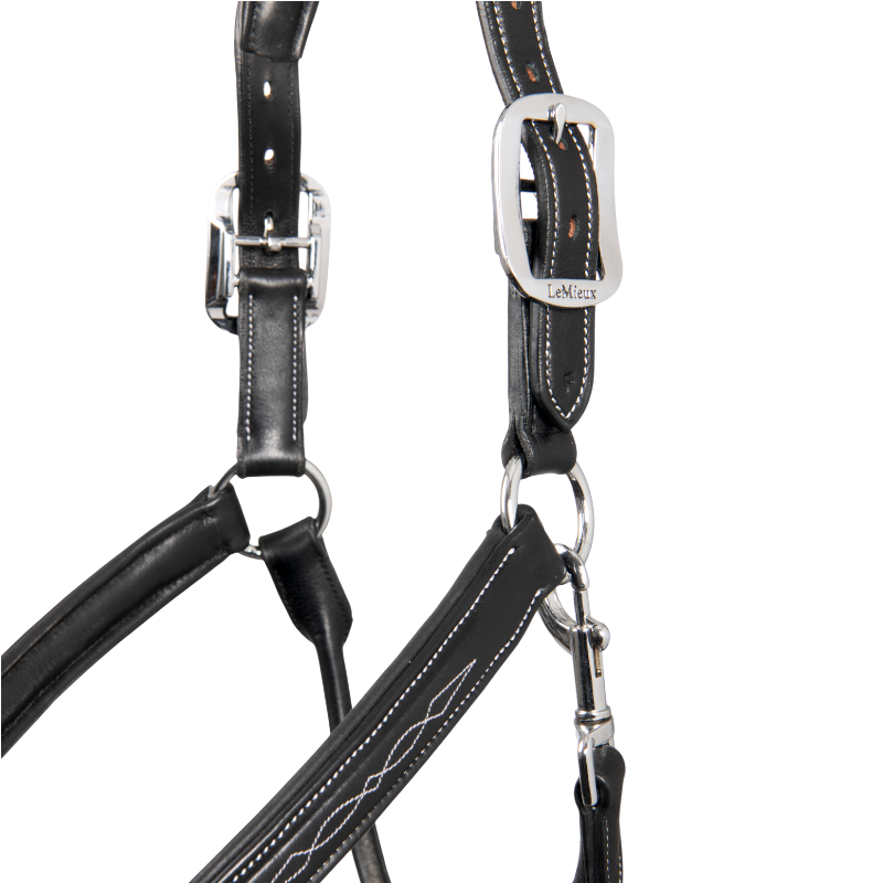 Lemieux - Licol pour chevaux Stitched noir | - Ohlala