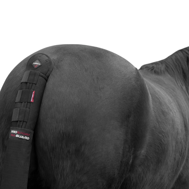 Lemieux - Protège-queue avec sac noir | - Ohlala