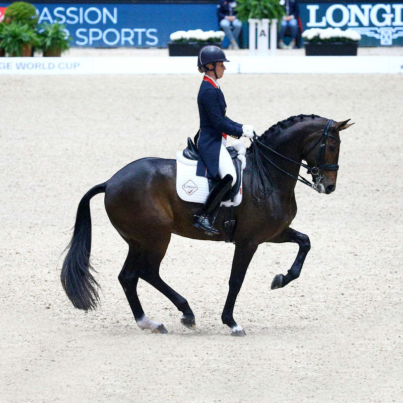 Lemieux - Tapis de dressage Competition Coton blanc | - Ohlala