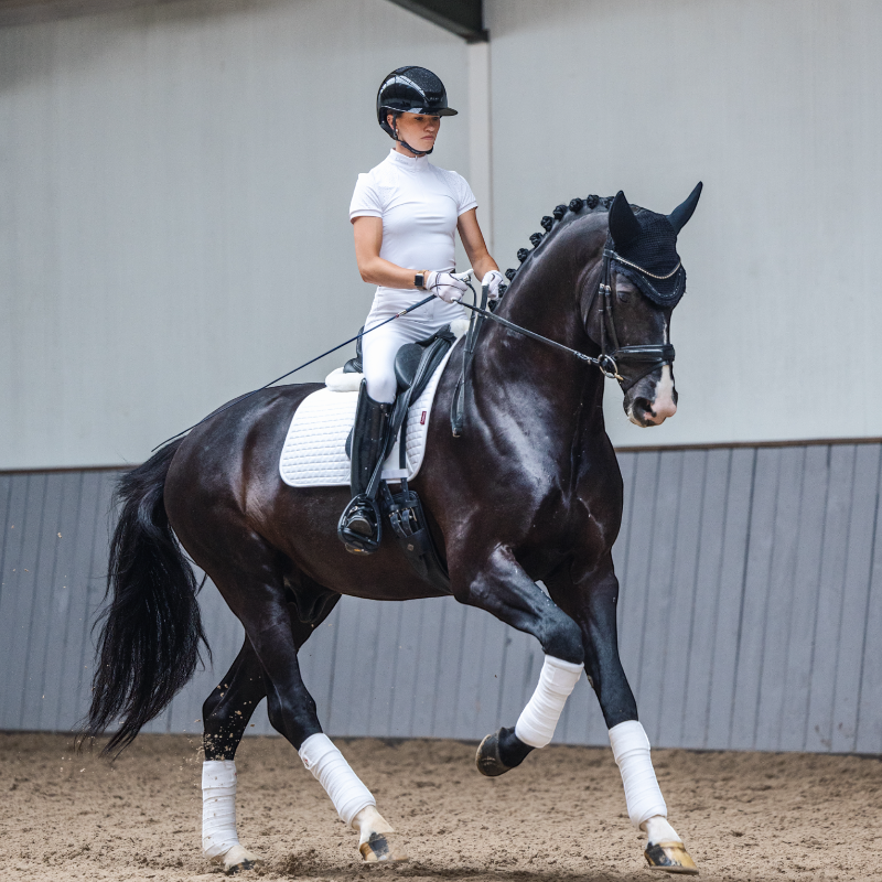 Lemieux - Tapis de dressage Square Coton blanc | - Ohlala