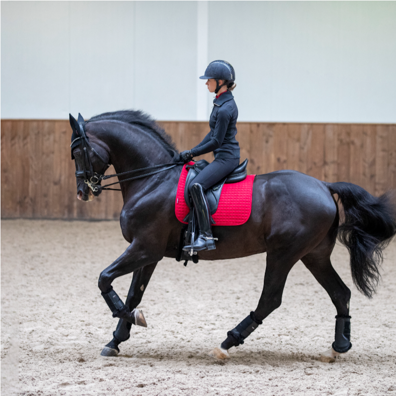 Lemieux - Tapis de dressage Square suédine chili | - Ohlala