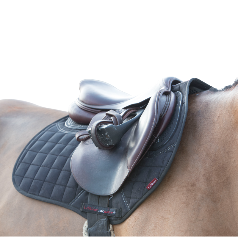 Lemieux - Tapis de selle Square X-Grip Silicone EuroJump noir | - Ohlala