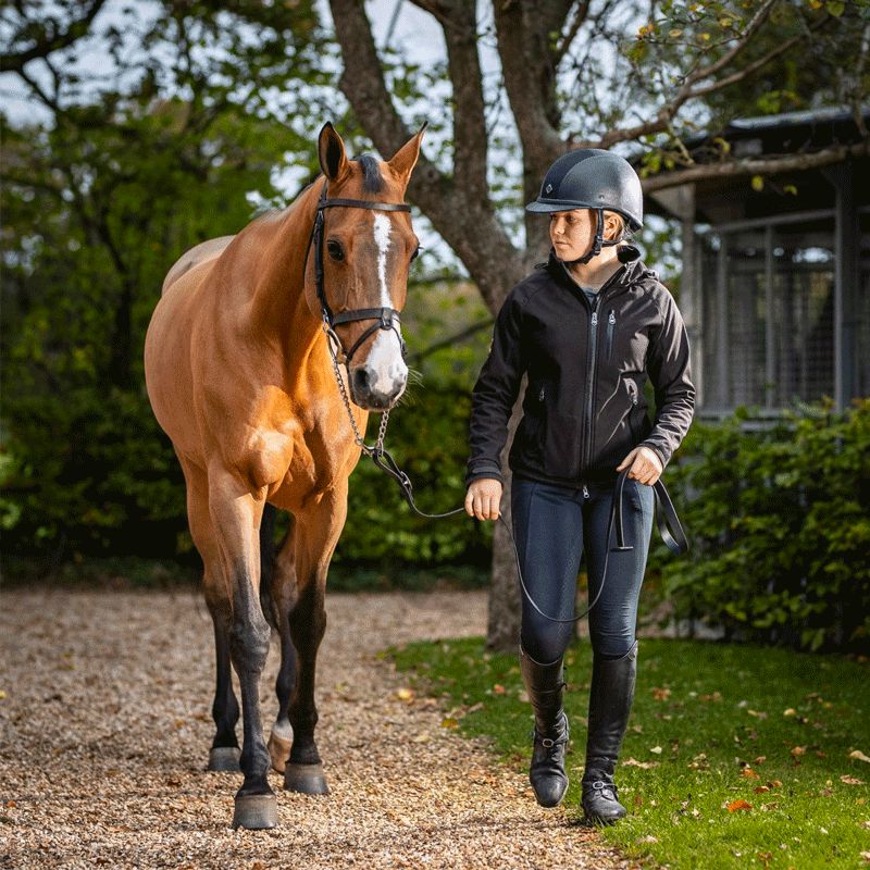 LeMieux - Longe de présentation Trot Up noir | - Ohlala