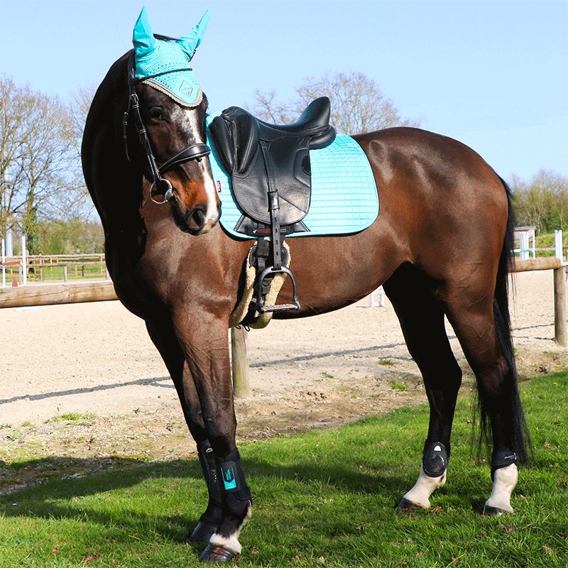 LeMieux - Tapis de dressage Suede Square azur | - Ohlala