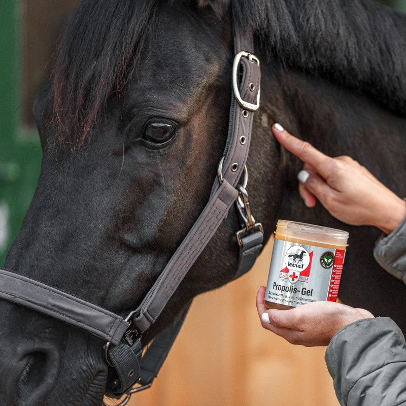 Leovet - Healing gel First Aid Propolis