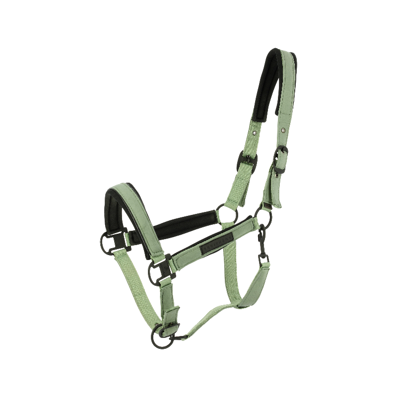 Equithème - Licol Pearl vert | - Ohlala