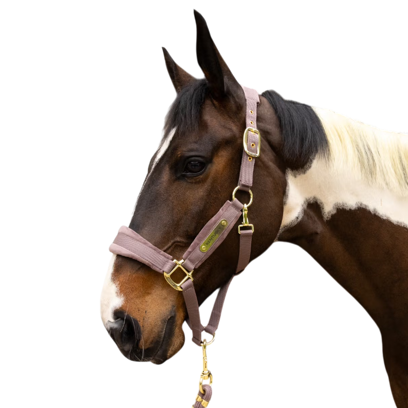 Kentucky Horsewear - Licol Velvet light purple