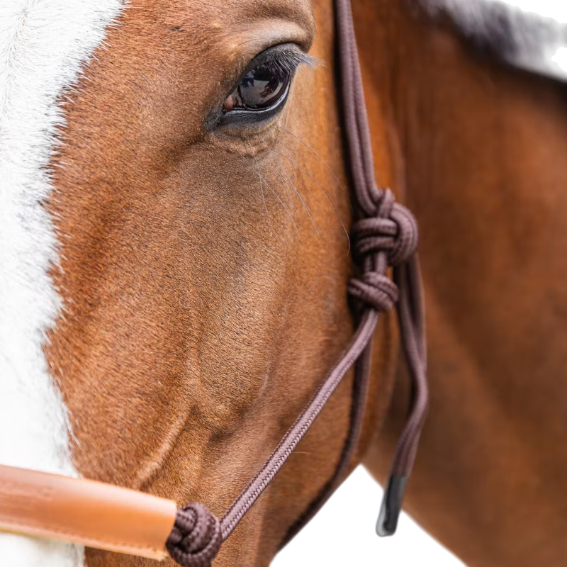 Kentucky Horsewear - Licol éthologique Corde marron