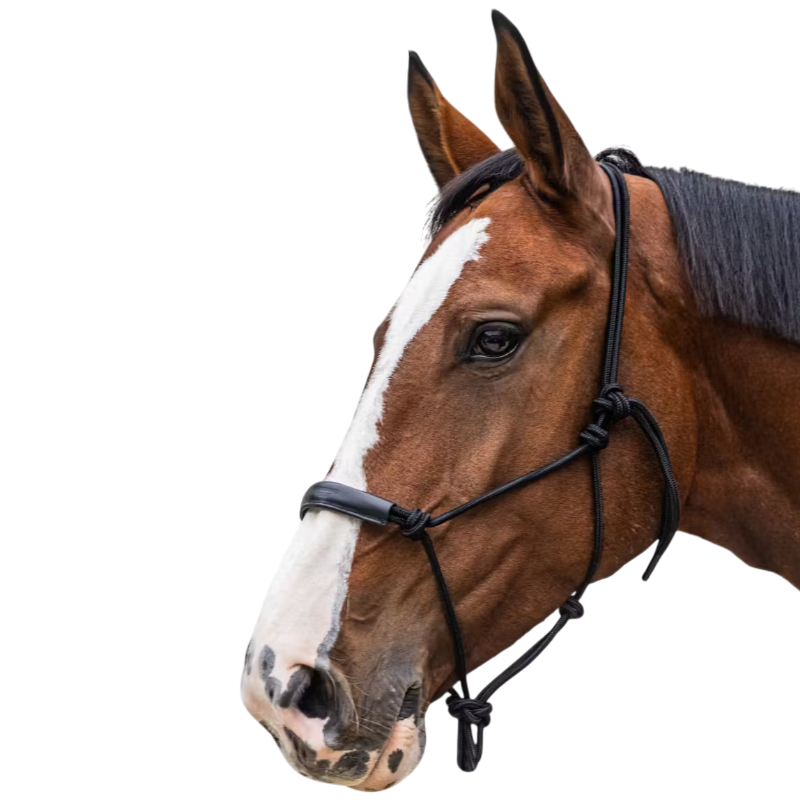 Kentucky Horsewear - Licol éthologique Corde noir | - Ohlala