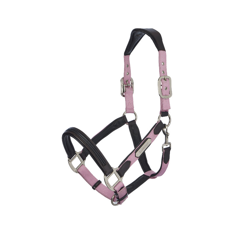 LeMieux - Licol pour chevaux Capella fondant | - Ohlala